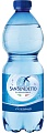 Вода San Benedetto 0,5л*24 газ пэт